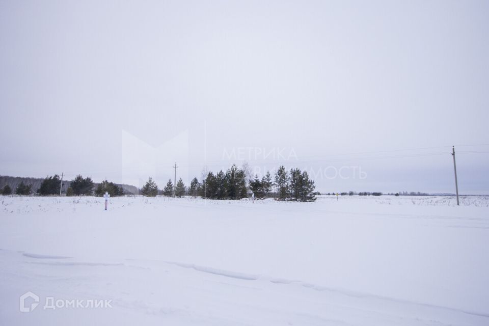 земля р-н Тюменский с Мальково ул Новая 18 фото 6