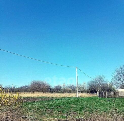 Западный Незабудка садовое товарищество фото