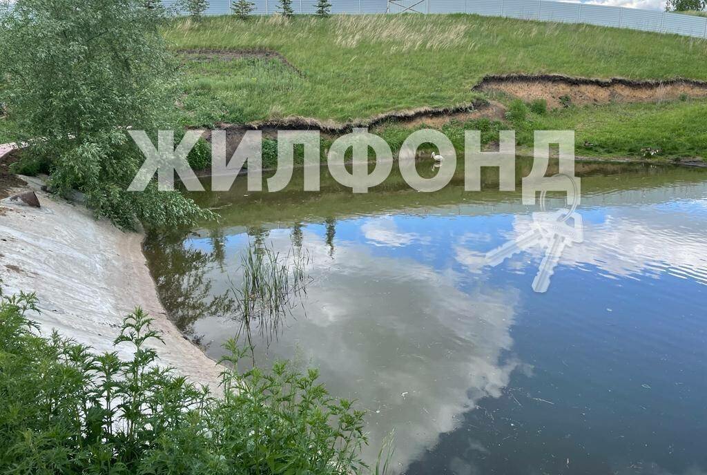 земля р-н Новосибирский п Тулинский пер Тимирязева Площадь Маркса фото 3