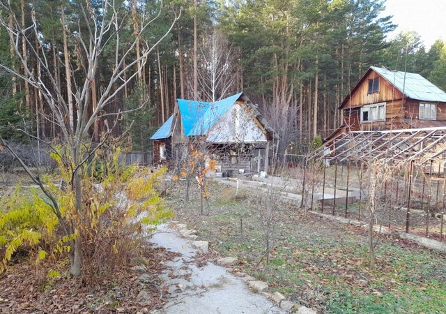 сад тер коллективныйВетеран-1 Белоярский г. о., Двуреченск фото сад тер коллективныйВетеран-1 Белоярский г. о., Двуреченск фото