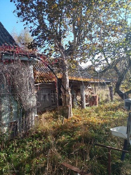 дом р-н Волосовский деревня Старицы фото 3