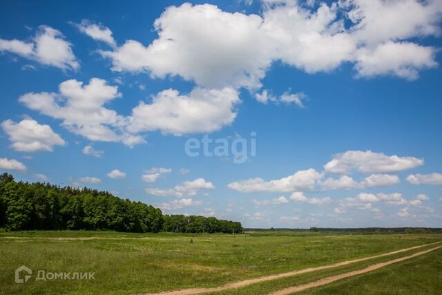 земля деревня Павловское фото
