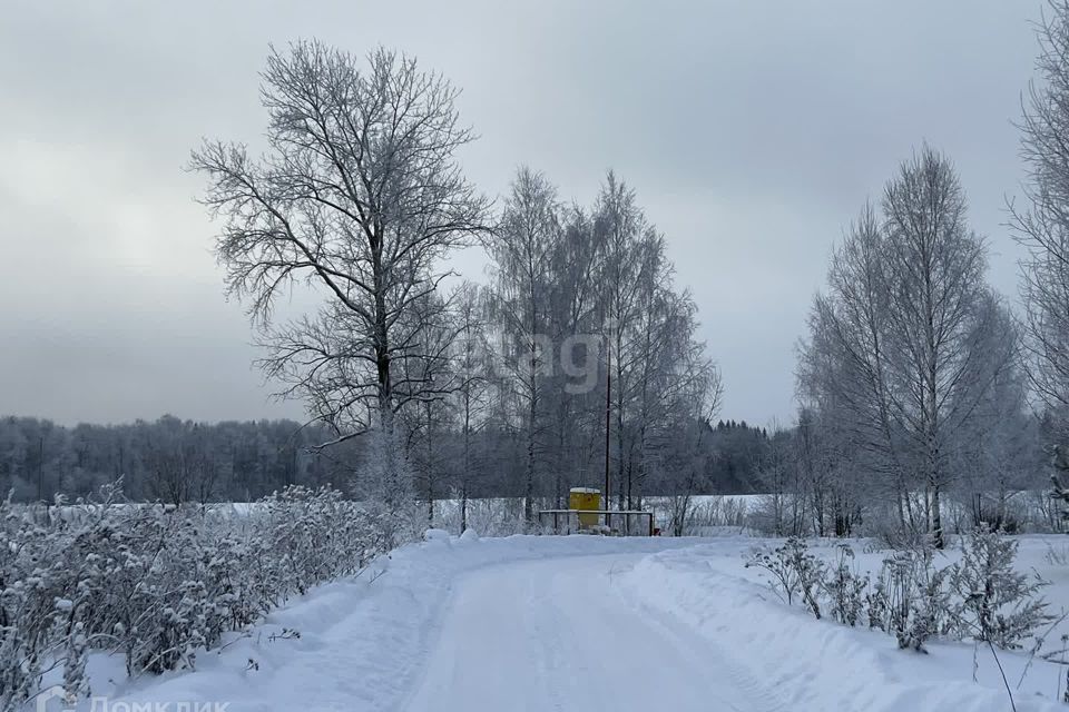 земля р-н Костромской посёлок Никольское фото 2