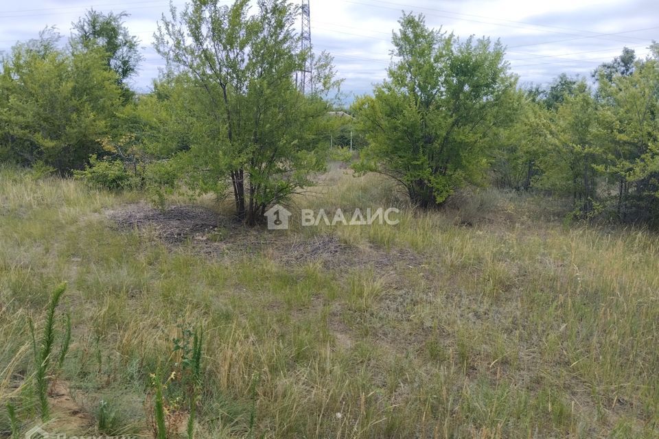 земля г Волгоград снт тер.Берендей городской округ Волгоград, 8-я линия, 203 фото 4