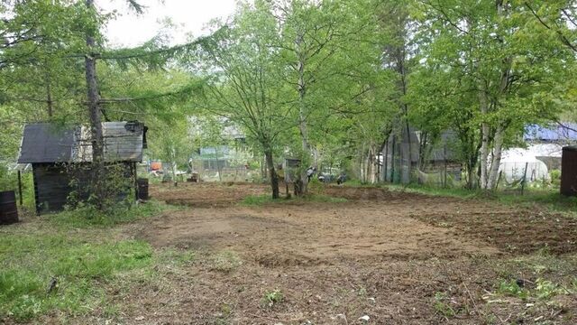 городской округ Южно-Сахалинск, СНТ Геофизик фото