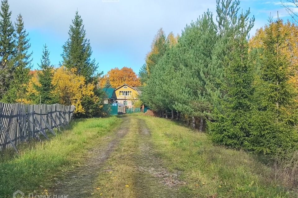 земля р-н Новгородский деревня Чайка фото 4
