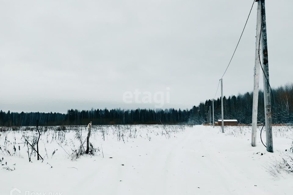 земля р-н Пермский деревня Скобелевка фото 1