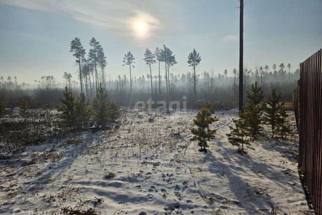 село Смоленка фото