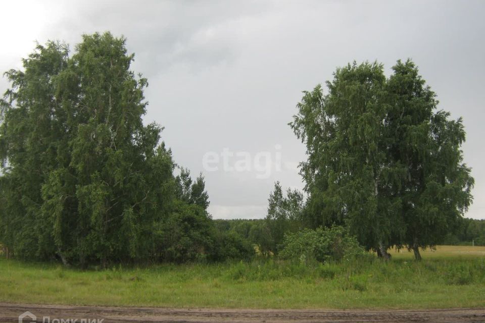 земля г Бердск ул Полевая городской округ Бердск фото 2