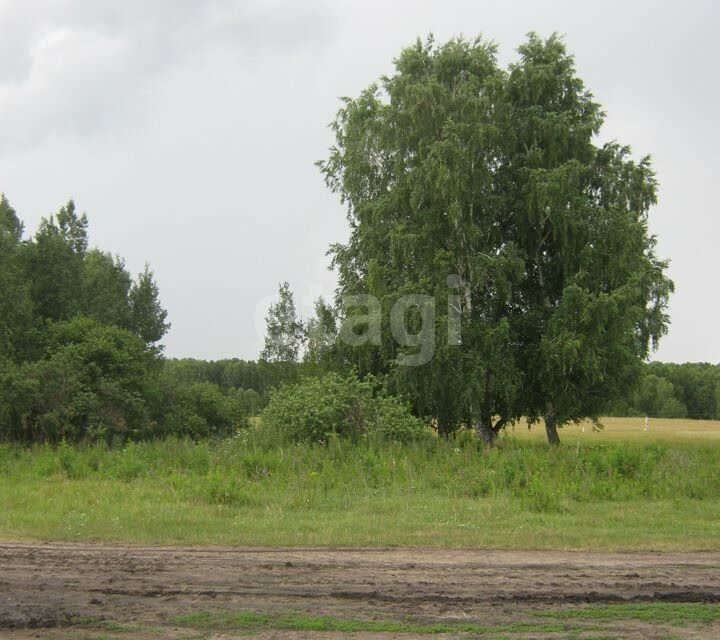 земля г Бердск ул Полевая городской округ Бердск фото 3