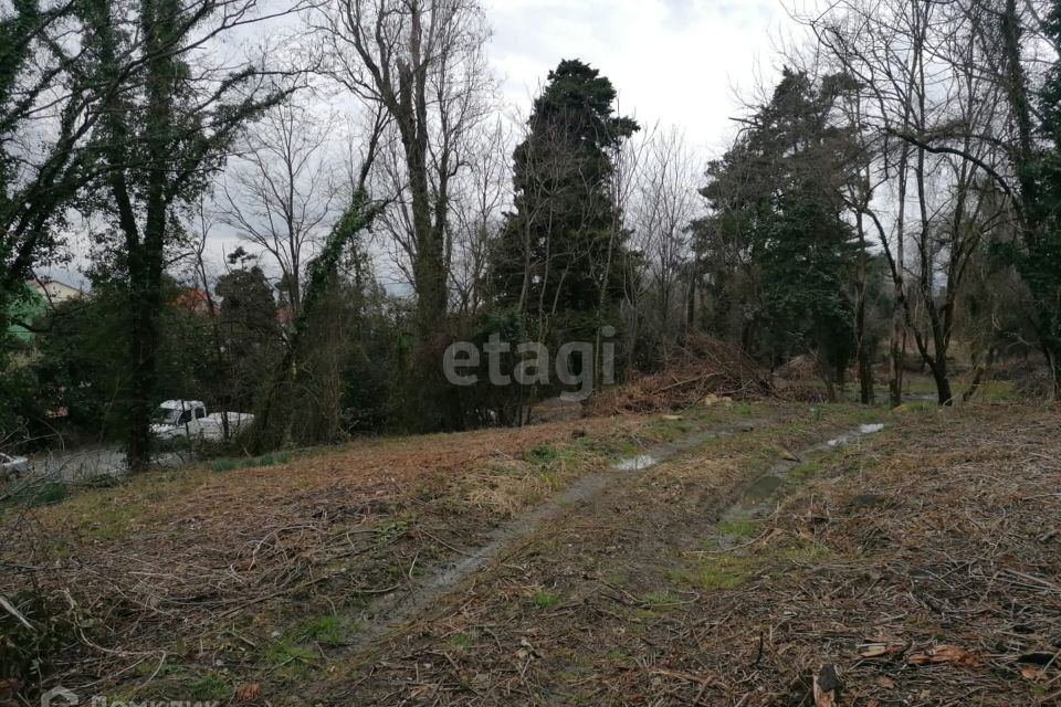 земля г Сочи городской округ Сочи, микрорайон Культурное Уч-Дере фото 2