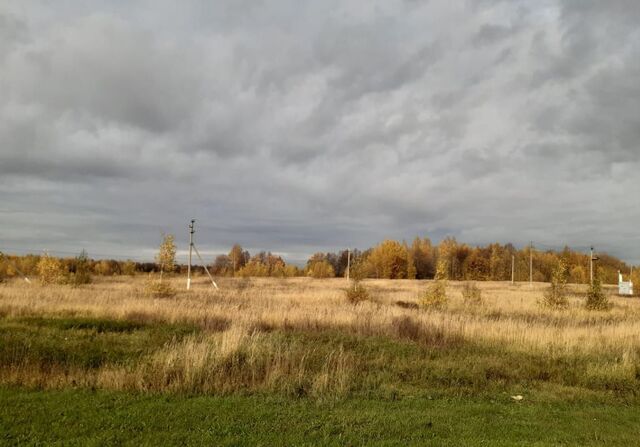 земля Богородское сельское поселение, Казань фото