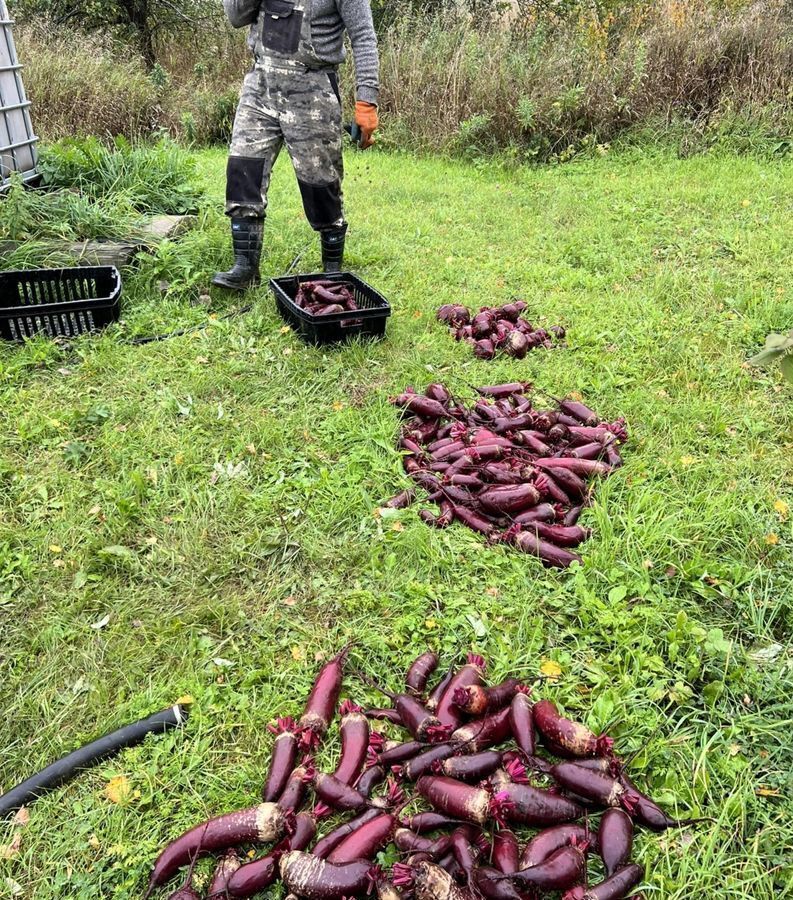 земля р-н Родниковский д Мостищи Каминское сельское поселение, Родники фото 17