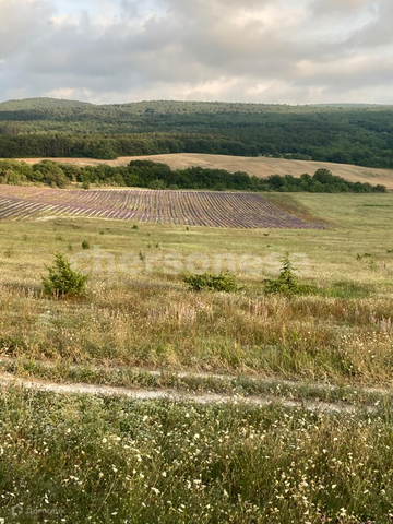 ул Ленина Красный Мак фото