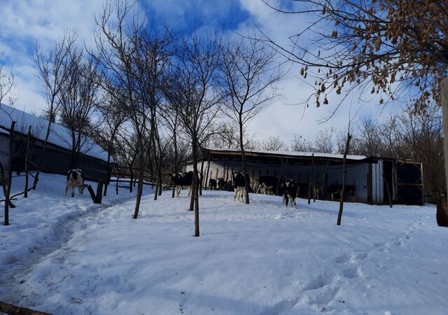 дом с Красное Веселовское сельское поселение, Бирюч фото