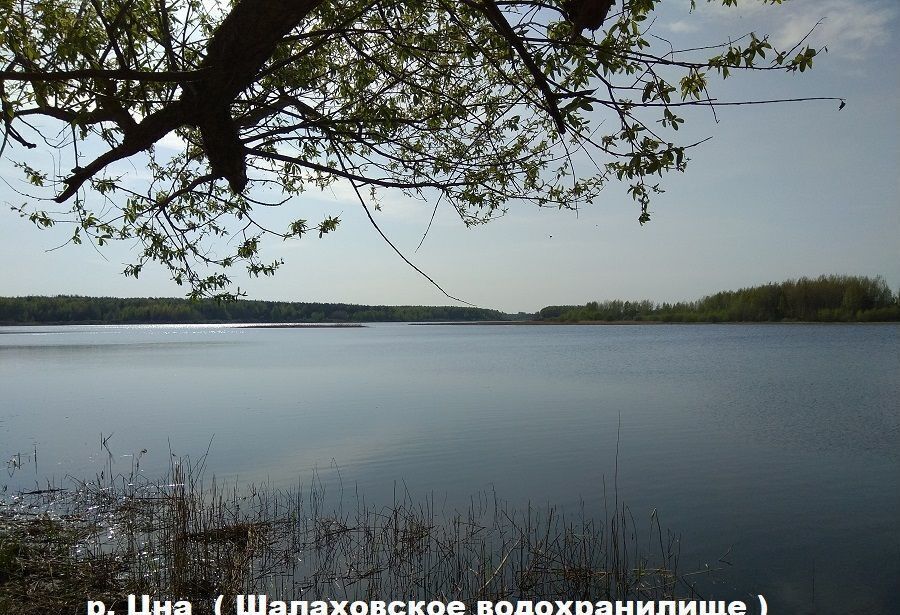 земля городской округ Егорьевск д Яковлево 169, Егорьевск фото 4
