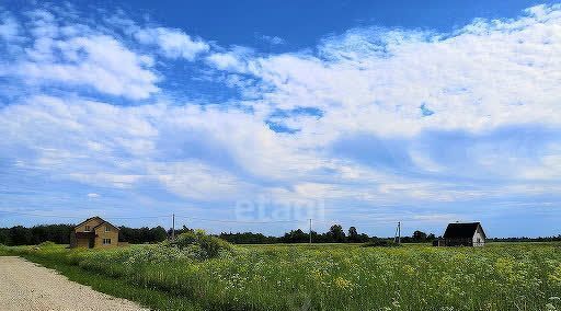 дом г Барнаул снт Простор ул. 1-я Михайловская фото 1