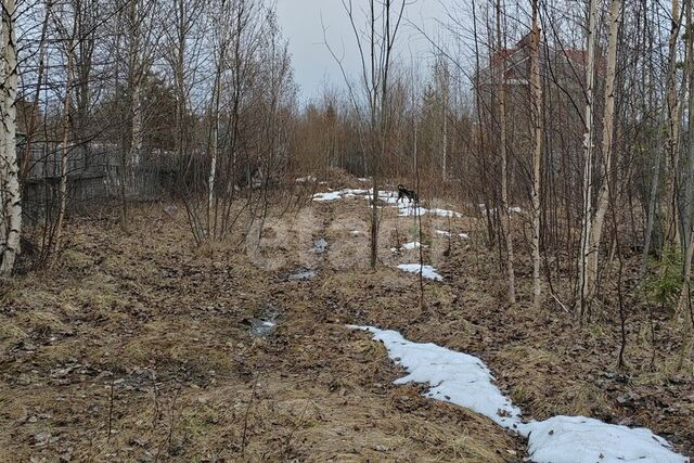 земля городской округ Ухта, садоводческое товарищество Земляничная Поляна фото