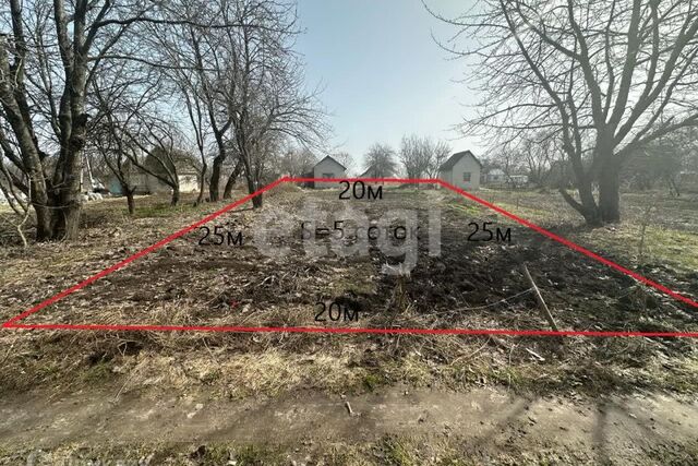 земля садоводческое общество Мичуринец, городской округ Брянск фото