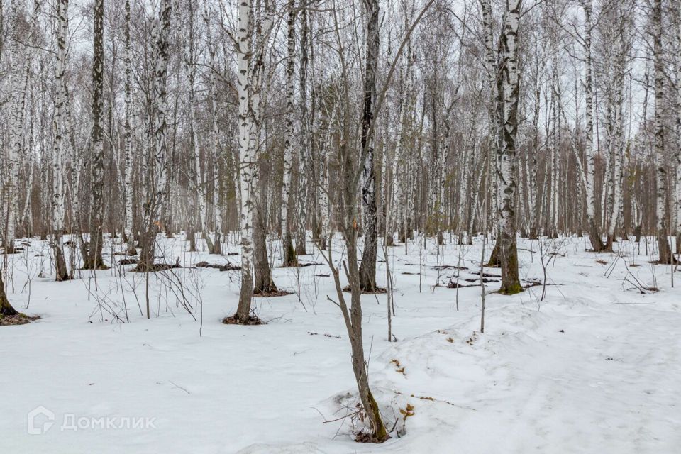 земля г Тюмень ул Рублевская городской округ Тюмень фото 4