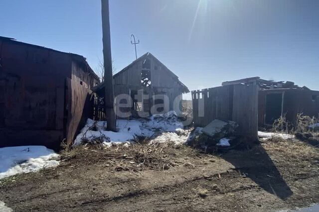 ул Толстого городской округ Южноуральск фото