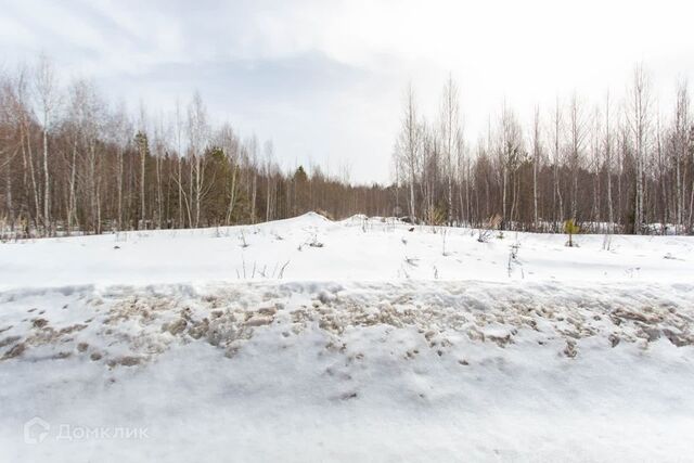 микрорайон Защитино, городской округ Тобольск фото