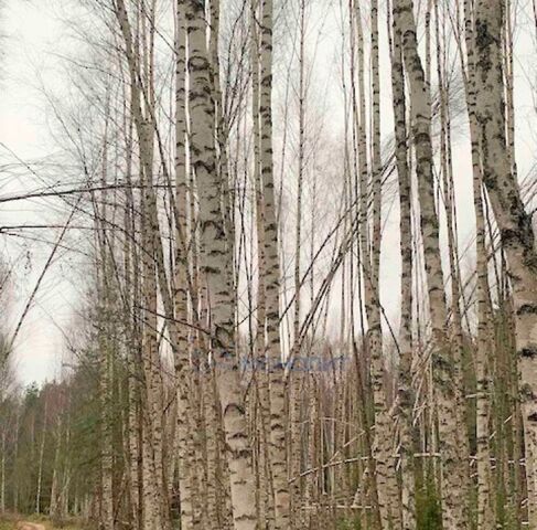 д Кудрино ул Волжская фото