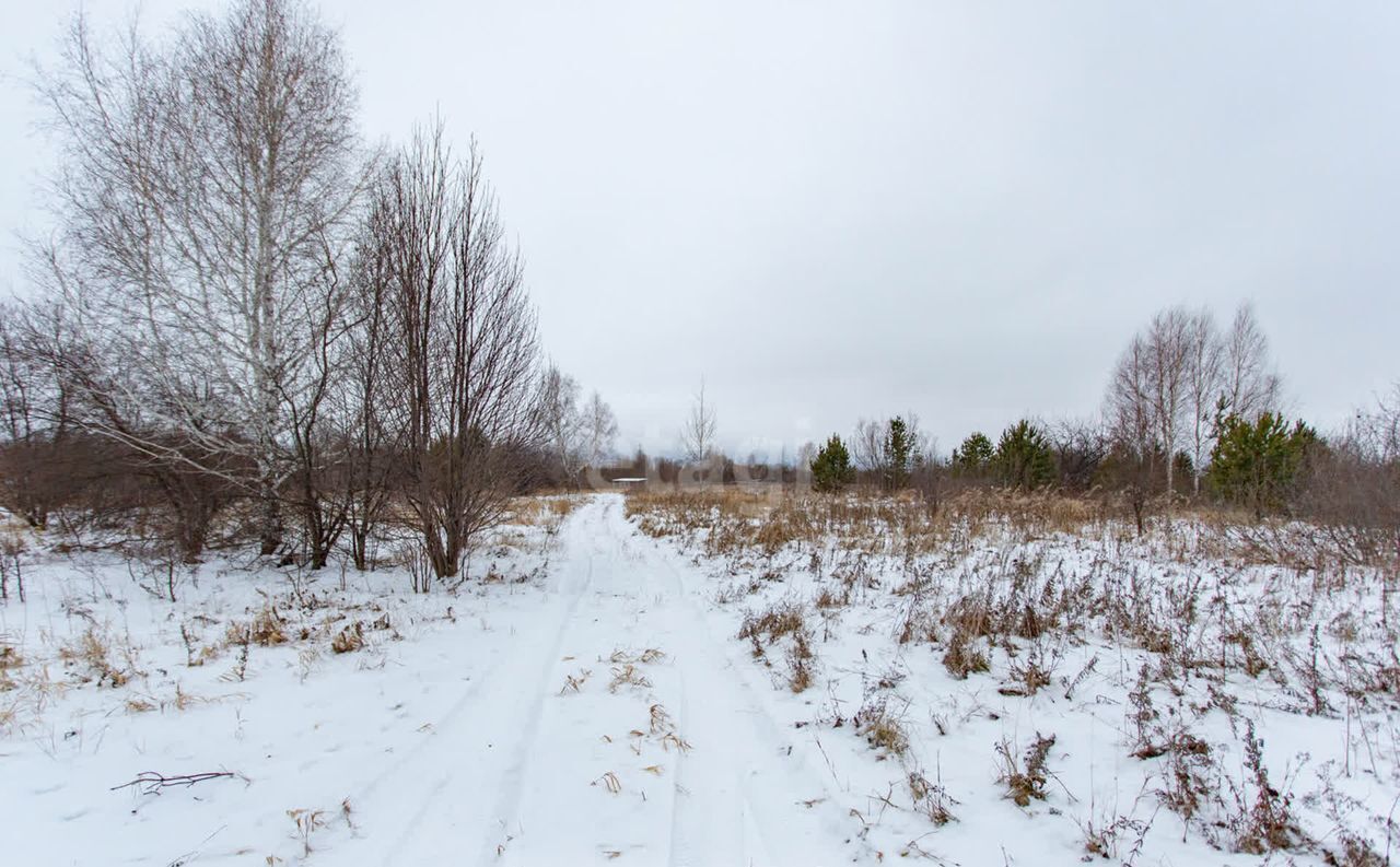 земля г Тобольск п Сумкино фото 15