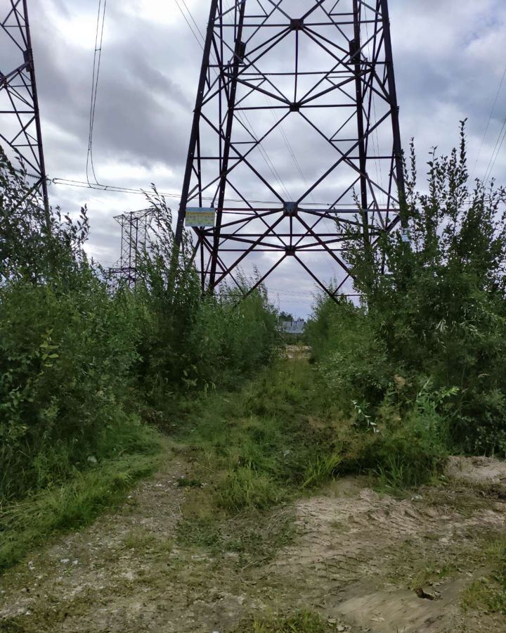 земля г Сургут ул Кедровая 90 садовое товарищество Хвойный, Тюменская обл. фото 5