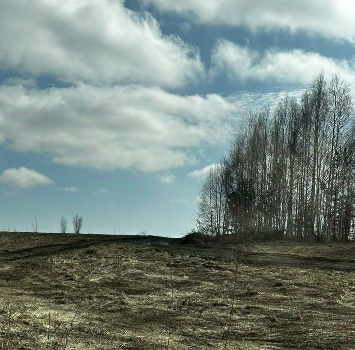 земля р-н Новокузнецкий с Куртуково фото 15
