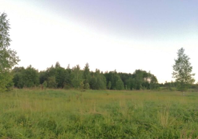 земля Березовикское сельское поселение, Окуловка фото