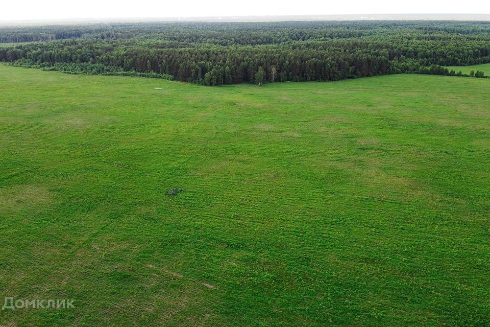 земля городской округ Павловский Посад фото 10