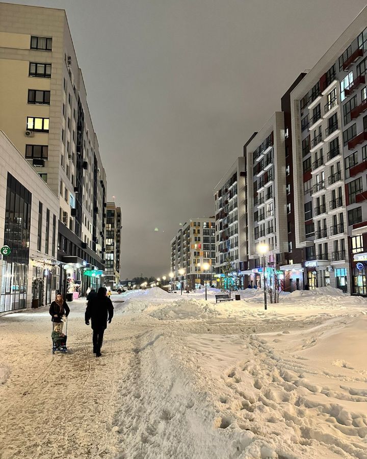 квартира г Москва п Сосенское б-р Веласкеса 7к/4 метро Прокшино Новомосковский административный округ, Московская область, Мосрентген фото 23