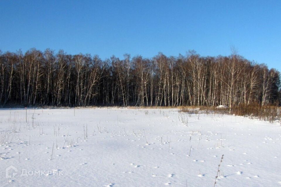 земля городской округ Ступино рабочий посёлок Малино фото 8