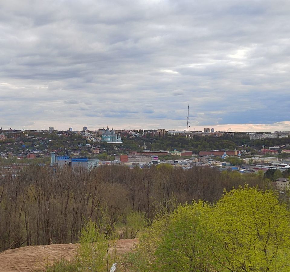 квартира г Смоленск р-н Заднепровский ул Восточная 1-я 3/6 фото 8