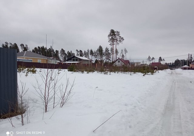 рп Свердловский ул Родниковая ДНТ Авиатор фото