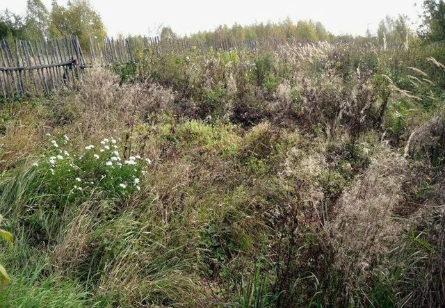 ул Липовая аллея Локотское городское поселение фото