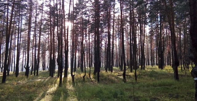 с Малая Царевщина Волжский фото