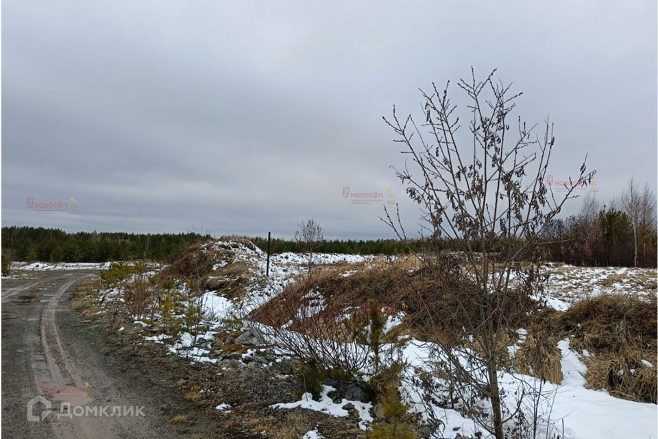 земля г Верхняя Пышма снт Сосновское городской округ Верхняя Пышма, 100 фото 5