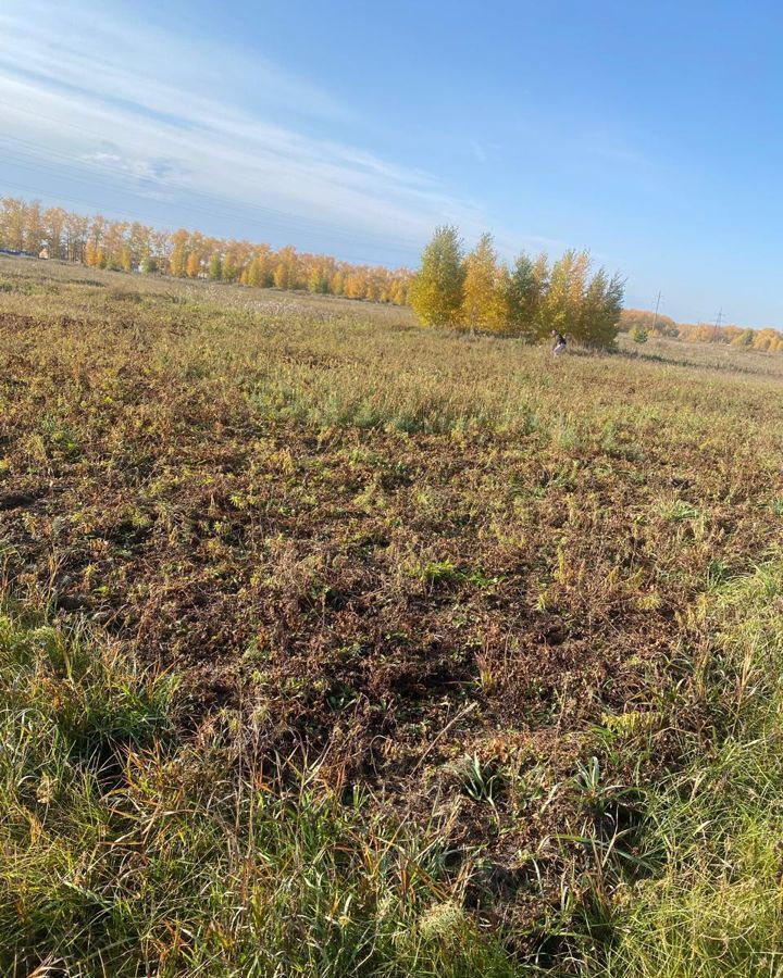 земля р-н Новосибирский с Верх-Тула Морской сельсовет, коттеджный пос. Новониколаевский фото 2