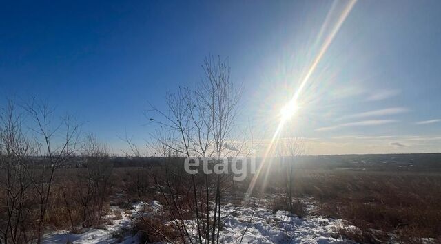 ул Тополиная фото