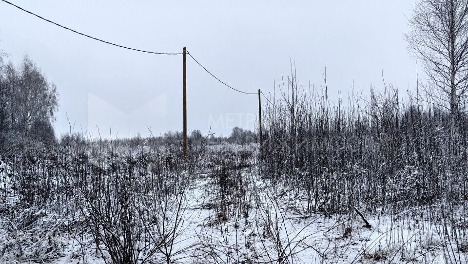 земля г Тюмень снт Яровское городской округ Тюмень, Грушевая улица, 30 фото 3