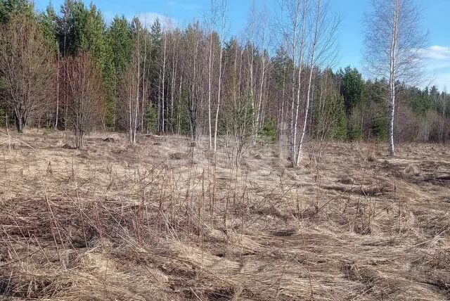 ул Ольховская городской округ Нижний Тагил фото