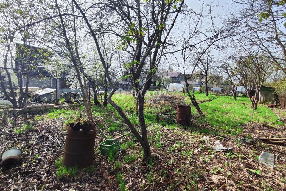 земля г Калининград снт Янтарь туп Веселый городской округ Калининград фото 4