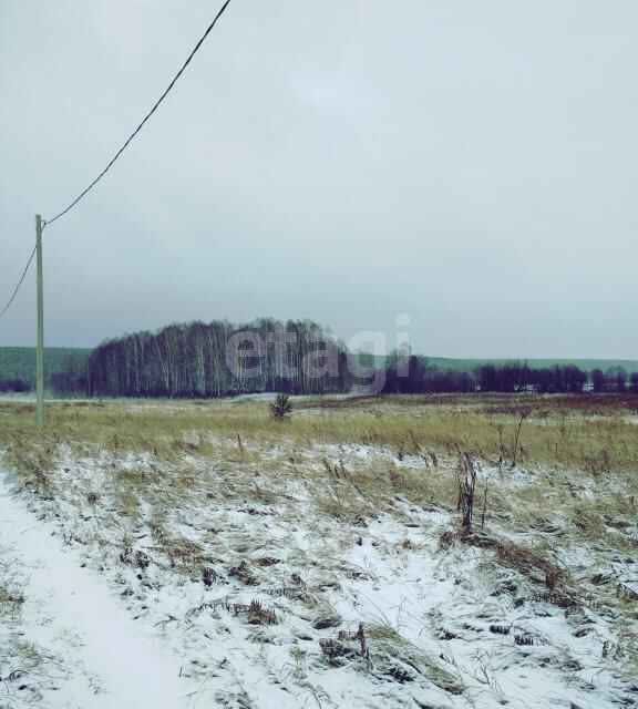 земля р-н Пригородный село Николо-Павловское фото 3