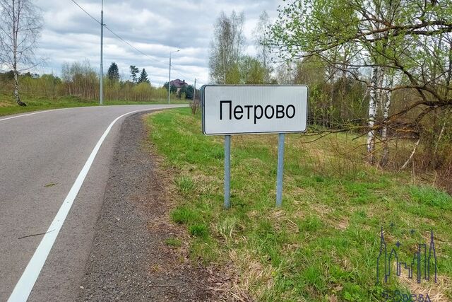 Троицкий административный округ, деревня Петрово фото