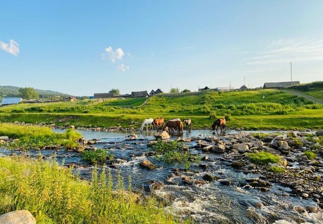 земля с Тюлюк Тюлюкское сельское поселение, Трехгорный фото