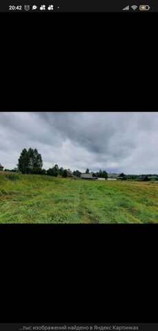 земля д Дуброво Большесельское сельское поселение, Большое Село фото