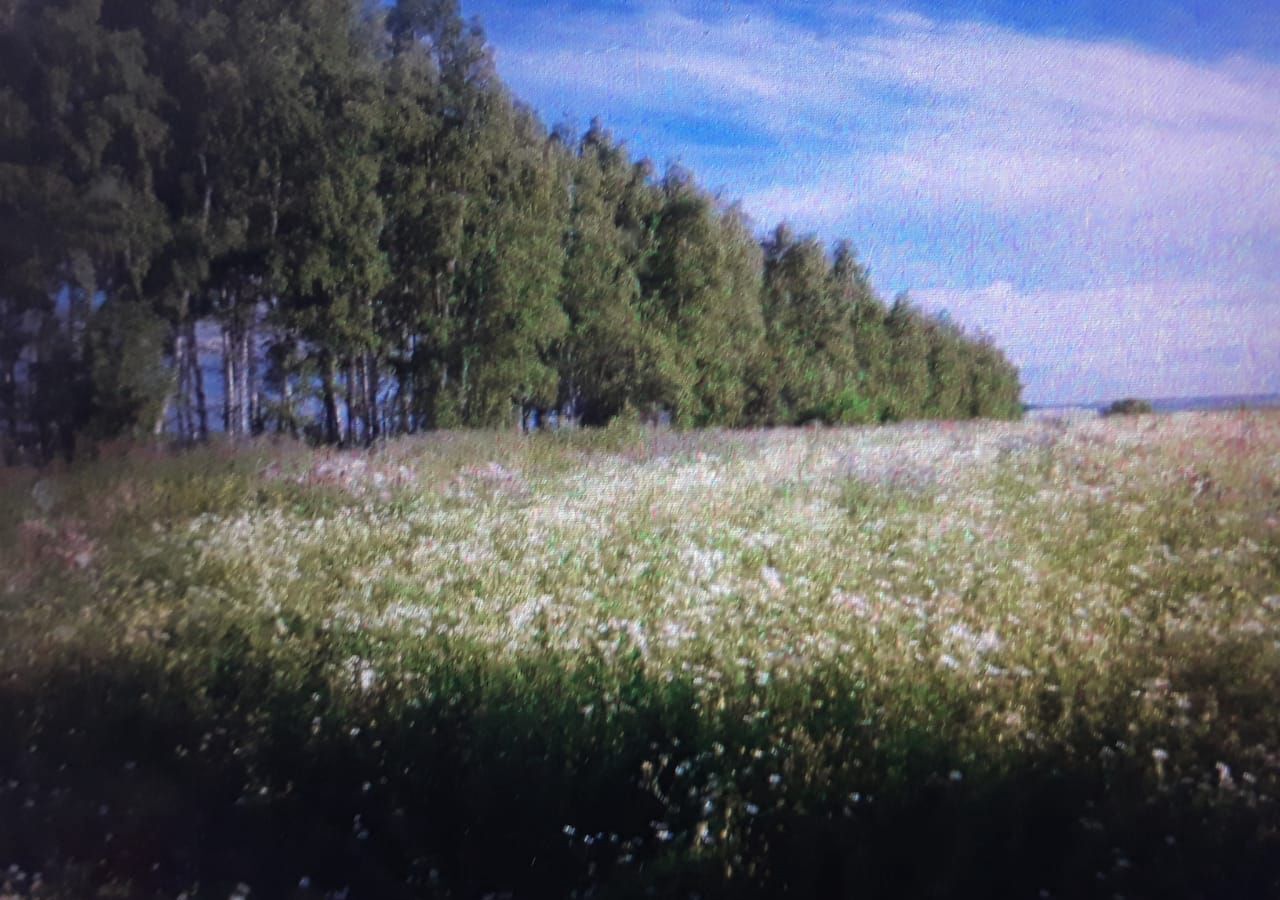 земля р-н Ясногорский г Ясногорск коттеджный пос. Зелёная миля фото 1