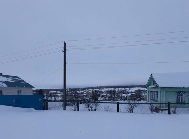 с Большие Метески фото